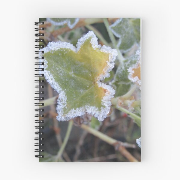 Item preview, Frosted Ivy-leaf Pelargonium - Pelargonium peltatum designed and sold by lezvee.