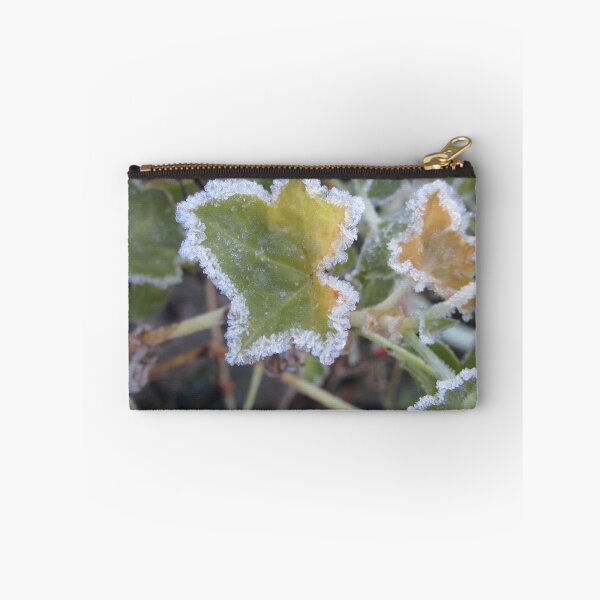 Item preview, Frosted Ivy-leaf Pelargonium - Pelargonium peltatum designed and sold by lezvee.