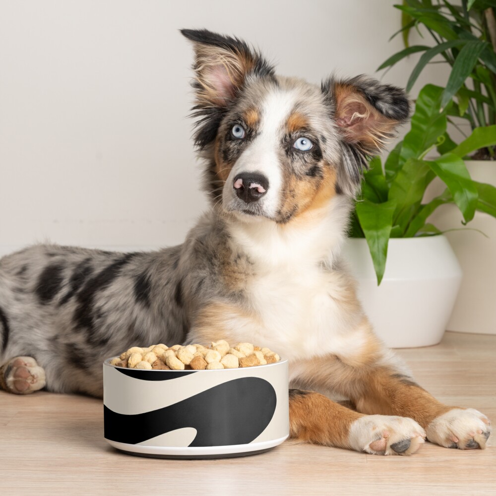 Item preview, Pet Bowl designed and sold by kierkegaard.