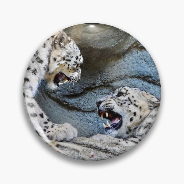 Item preview, Snow Leopards designed and sold by Tlpphotos.