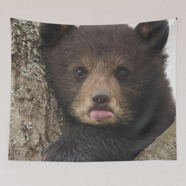 Item preview, Cute bear cartoon baby bear, cute cub, gifts for animals lovers  designed and sold by haRexia.
