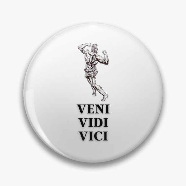 Item preview, VENI, VIDI, VICI .(I came I saw I conquered) designed and sold by PAL • ART.
