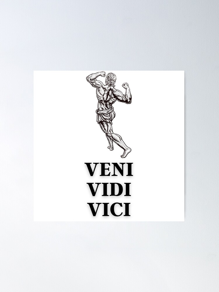 Veni vidi vici wallpapers