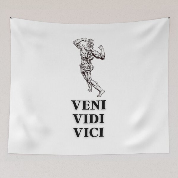 Item preview, VENI, VIDI, VICI .(I came I saw I conquered) designed and sold by PAL • ART.