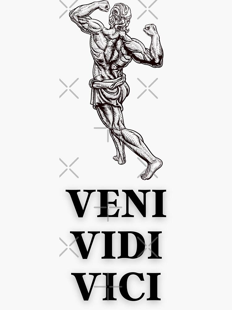 veni vidi vici i came, i saw , i conquered' Sticker