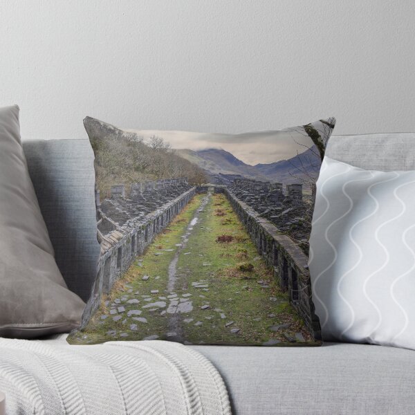 Item preview, Slate cottages of Dinorwic designed and sold by Leighton Collins.