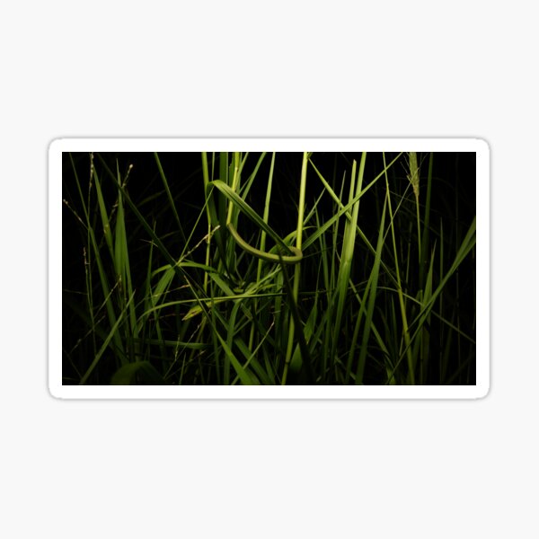 Item preview, Vanishing Vine. designed and sold by AnyLifePhoto.
