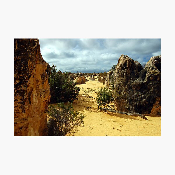 Item preview, The Pinnacles, Nambung National Park, Cervantes, Western Australia designed and sold by Adrian Paul.