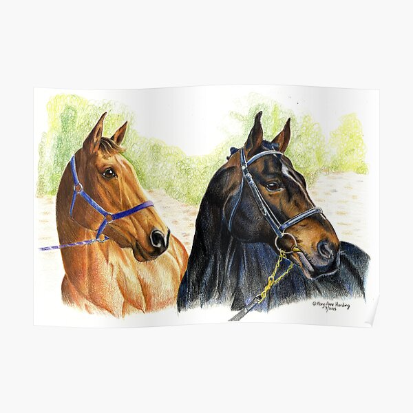 Horse Drawing Poster