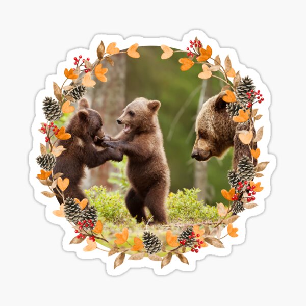 Playing Bear Cubs Stickers for Sale
