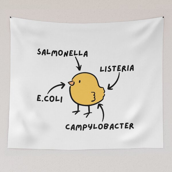Item preview, Poultry Diseases designed and sold by introVETed.