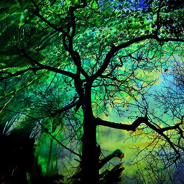 Artwork thumbnail, Vertigo by Pamela Bates