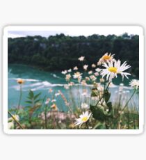 niagara gorge Sticker