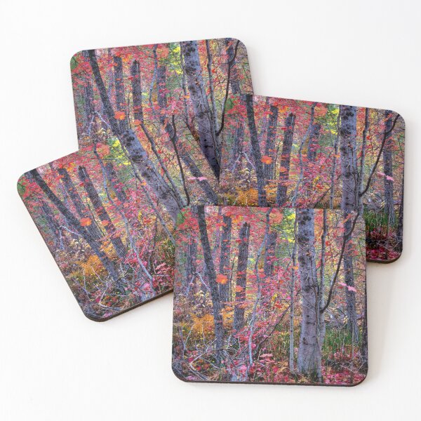 Item preview, Autumn Forest In Sedona Arizona designed and sold by K D Graves Photography.