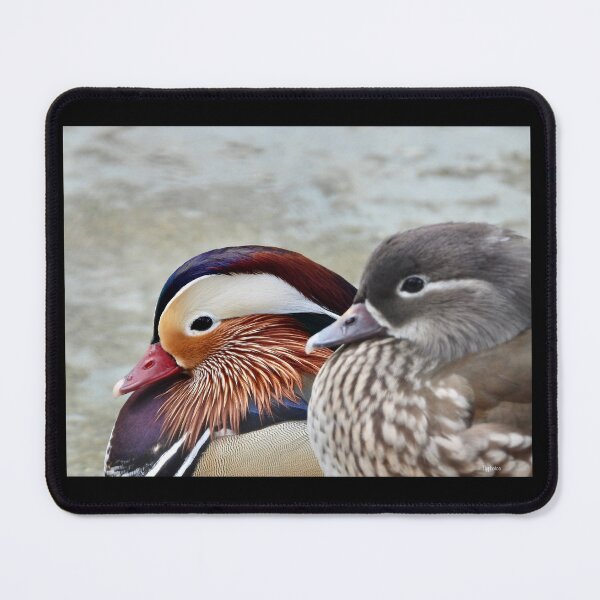 Item preview, Mandarin Ducks designed and sold by Tlpphotos.