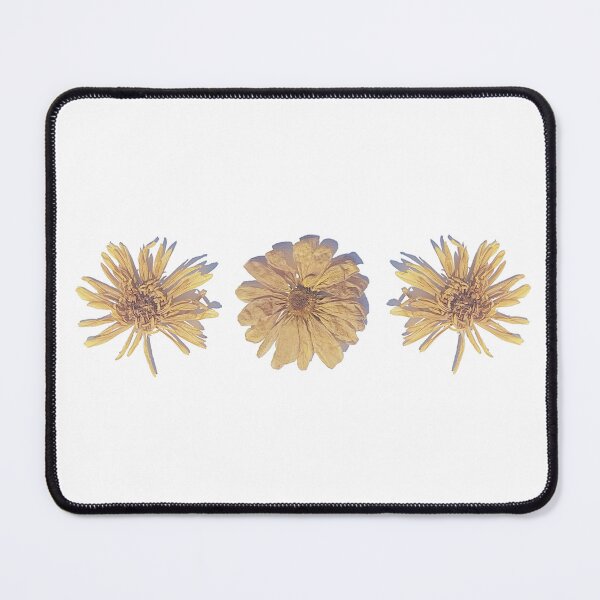 Item preview, three pressed flowers designed and sold by Bethan Rose Studio.