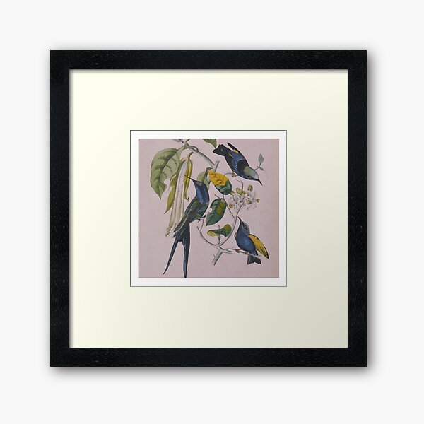 Item preview, Sakura (2000) | Susumu Yokota designed and sold by muwumbe.