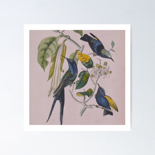 Item preview, Sakura (2000) | Susumu Yokota designed and sold by muwumbe.