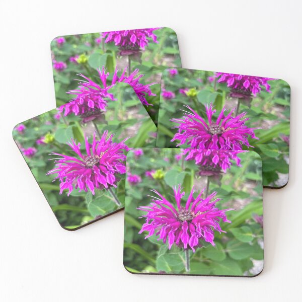 Item preview, Beebalm designed and sold by emikat-art.