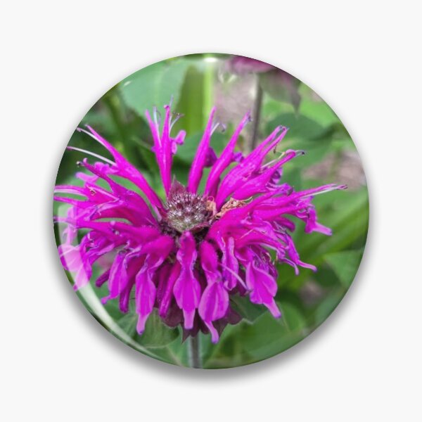 Item preview, Beebalm designed and sold by emikat-art.