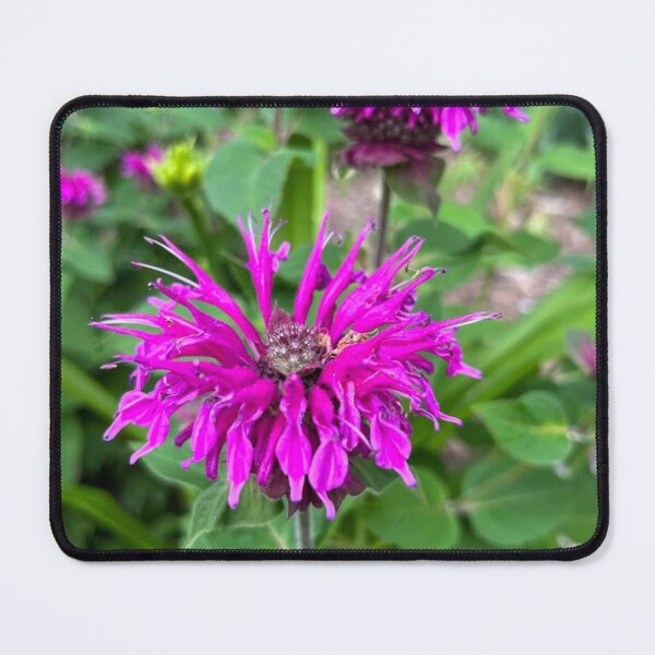 Item preview, Beebalm designed and sold by emikat-art.