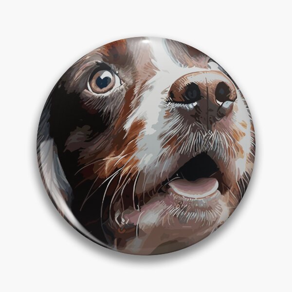 Item preview, Springer Spaniel Vector effect designed and sold by popupstands.