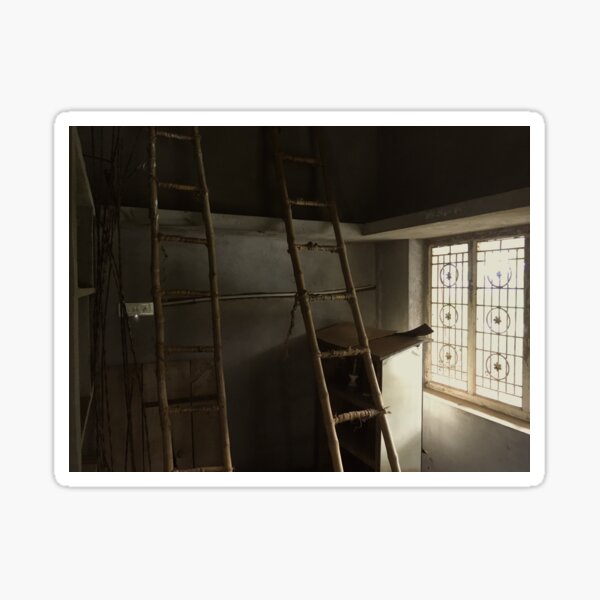 Ladders in a storeroom Sticker