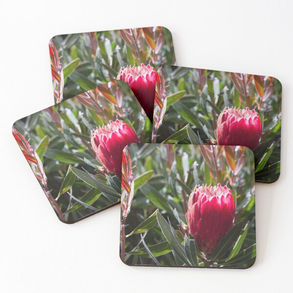 Item preview, Banksia designed and sold by Marc Forman.