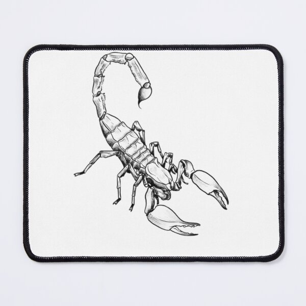 Item preview, Scorpion designed and sold by Bruno Caetano.