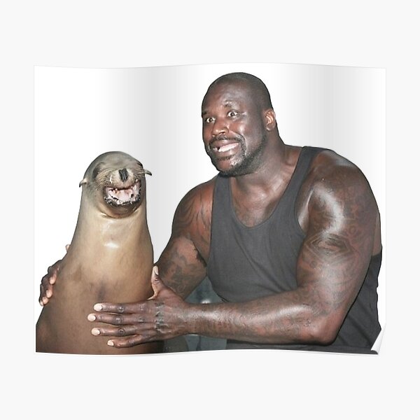 Shaq and a Seal, Porgs