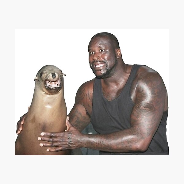 Shaq and a Sea Lion Photographic Print.