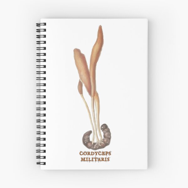 Item preview, Cordyceps militaris mushroom designed and sold by punchyflamingo.