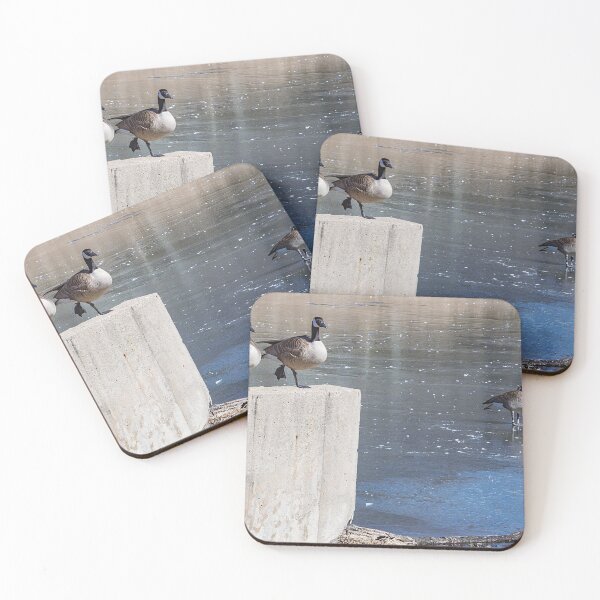 Item preview, Fowl yoga on the deck of the dam designed and sold by Joel Bader.