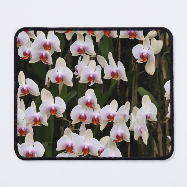 Item preview, many white-red orchids designed and sold by David-Howells.