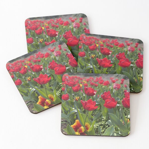 Item preview, Tulip blooms, Araluen, Western Australia designed and sold by NimbleFish.