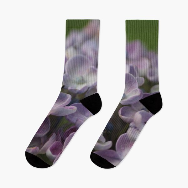Item preview, Hydrangea designed and sold by smh2.