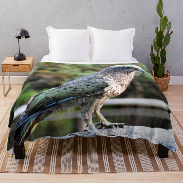 Item preview, New Zealand - Milford Sound, parrot kea designed and sold by franck380.