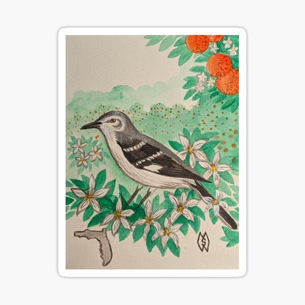 Item preview, Florida state bird and flower, the mockingbird and orange blossom  designed and sold by Matt Starr.