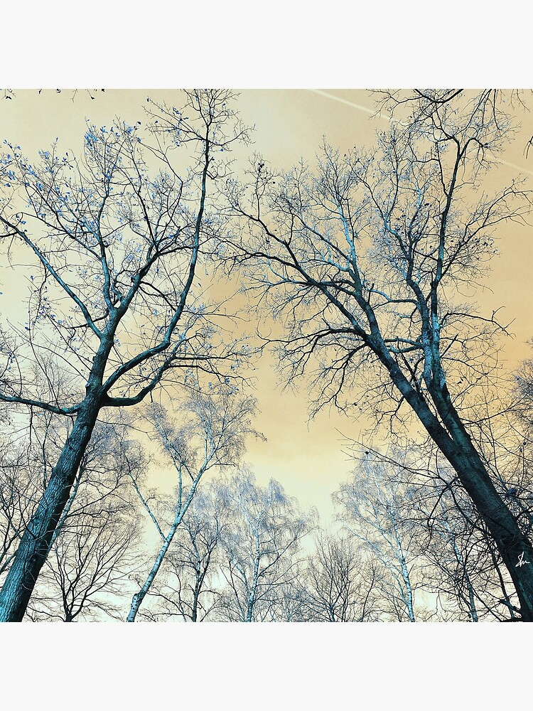 Trees Infrared by Sofiakat