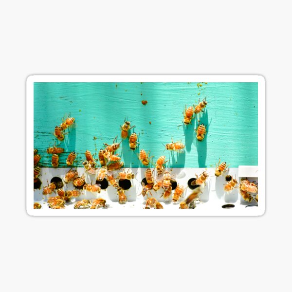 Item preview, Bees at Slate Run designed and sold by Natnarratives.