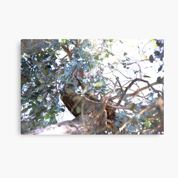 Fade into you. Tree, branches full of magic. Metal Print