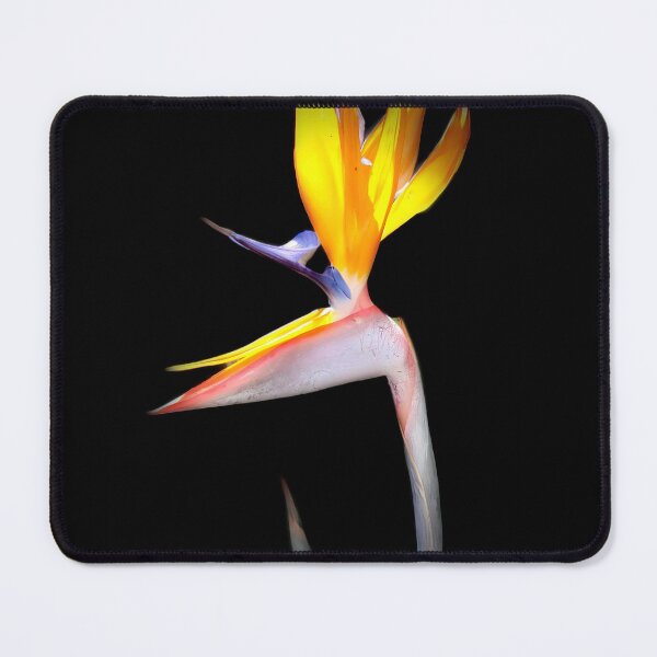 Item preview, Bird of Paradise designed and sold by Untitled22.