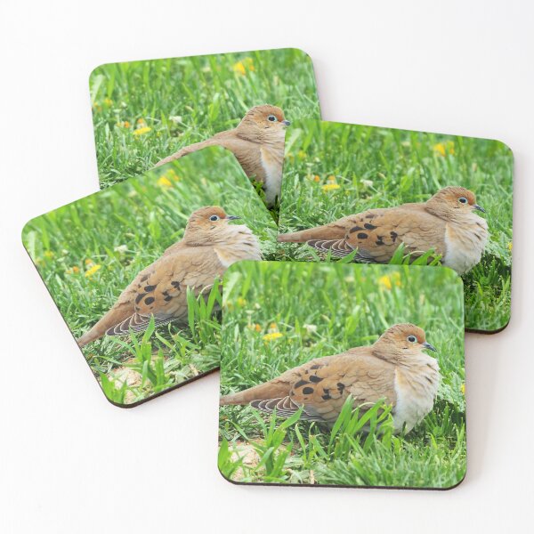 Item preview, Mourning Dove Resting In The Grass designed and sold by BackyardBirder.