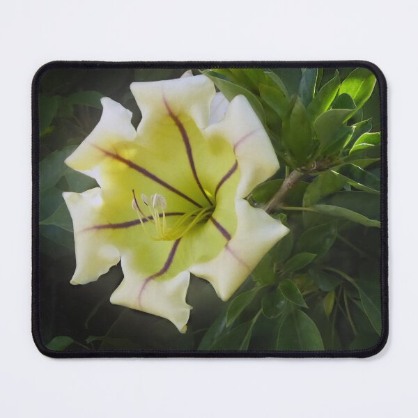 Item preview, Floral Beauty designed and sold by CarolM.