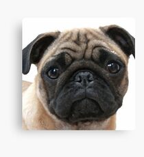 PUGGY Canvas Print