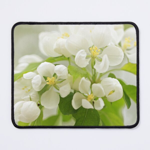 Item preview, White Crabapple Blossoms designed and sold by JulesXenDesign.
