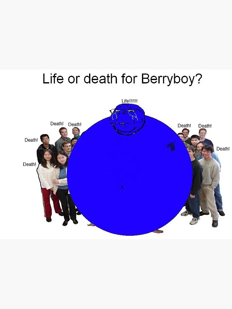 Life Or Death For Berryboy Sticker For Sale By LiterallyGaming   Bg,f8f8f8 Flat,750x,075,f Pad,750x1000,f8f8f8 