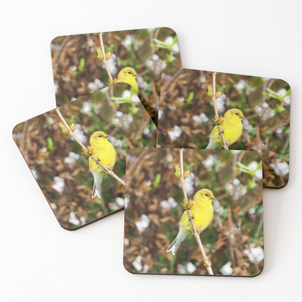 Item preview, An American Goldfinch Perched on a Branch designed and sold by BackyardBirder.