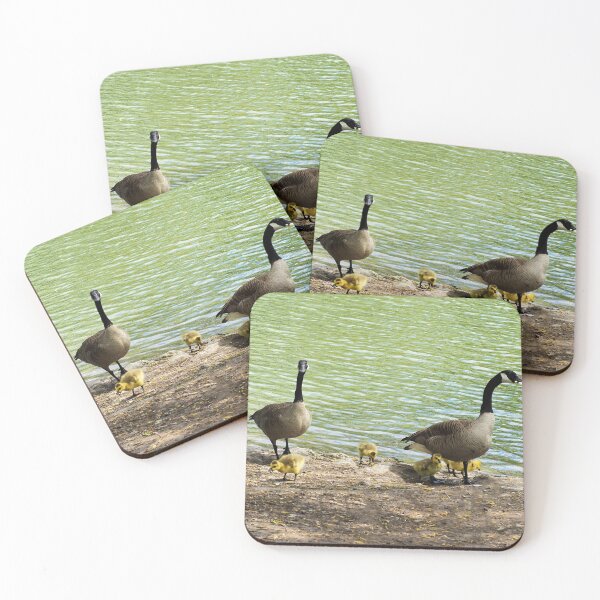 Item preview, Canada Goose Family With Their Goslings - Wild Canada Goose Bird designed and sold by BackyardBirder.