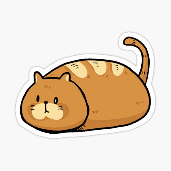 cat bun